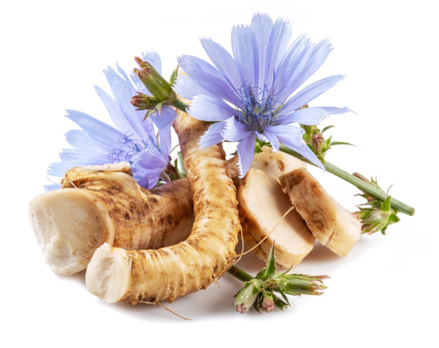 inulina