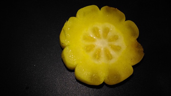 Garcinia cambogia