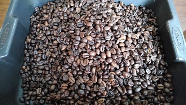 NV Caffeine ECO