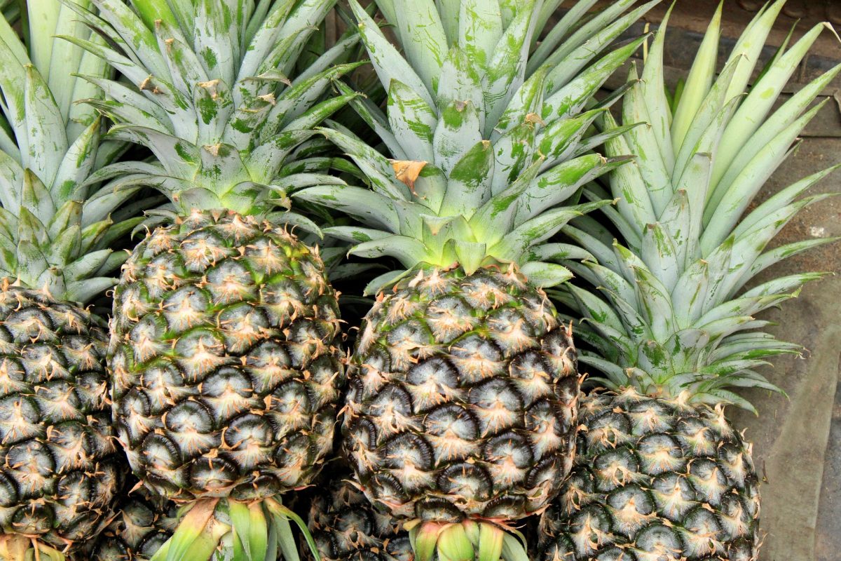 Bromelaina z owoców ananasa jadalnego (50,00 mg)