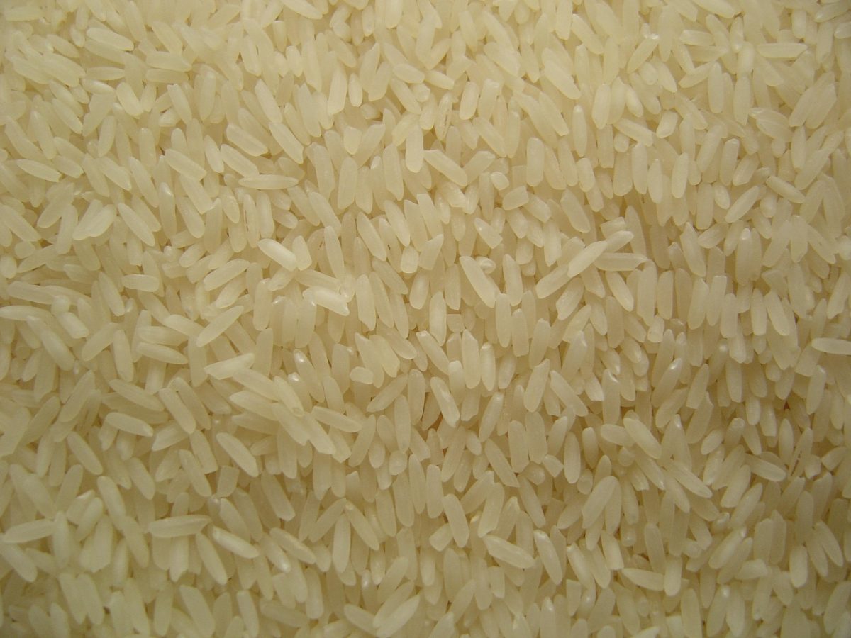 Ekstrakt z nasion ryżu (Oryza sativa)