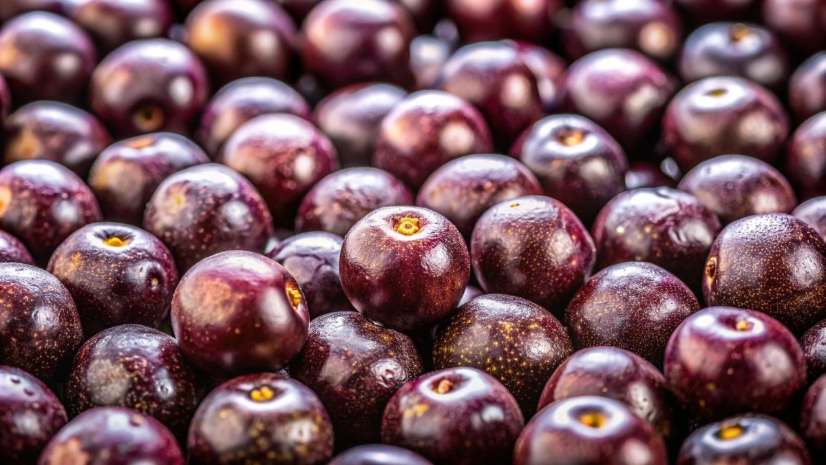 Jagoda acai